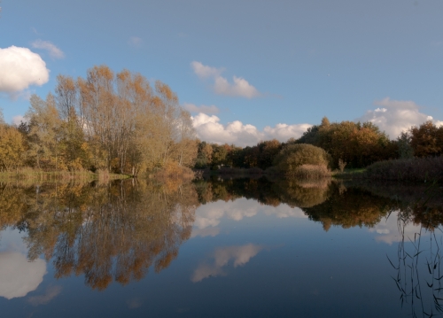 Herfstlandschap
